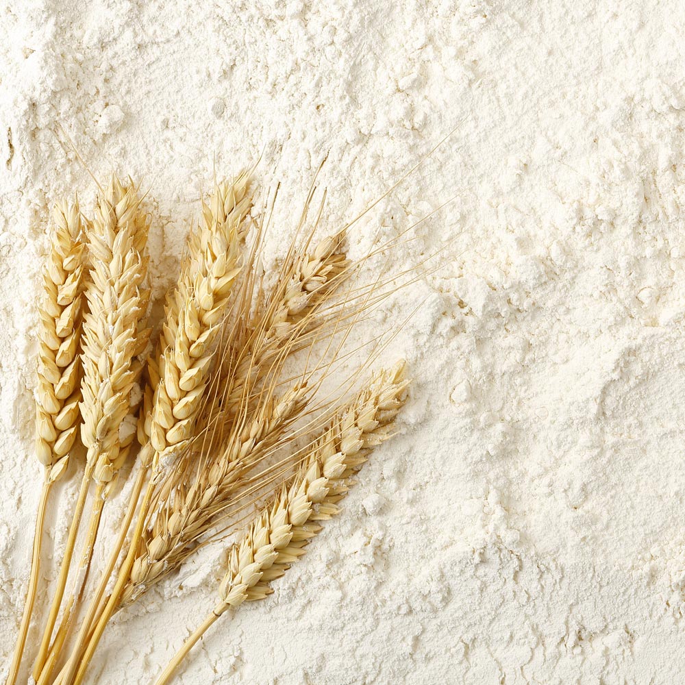 All-Purpose White Flour #10 Can (53 servings) - Image 4