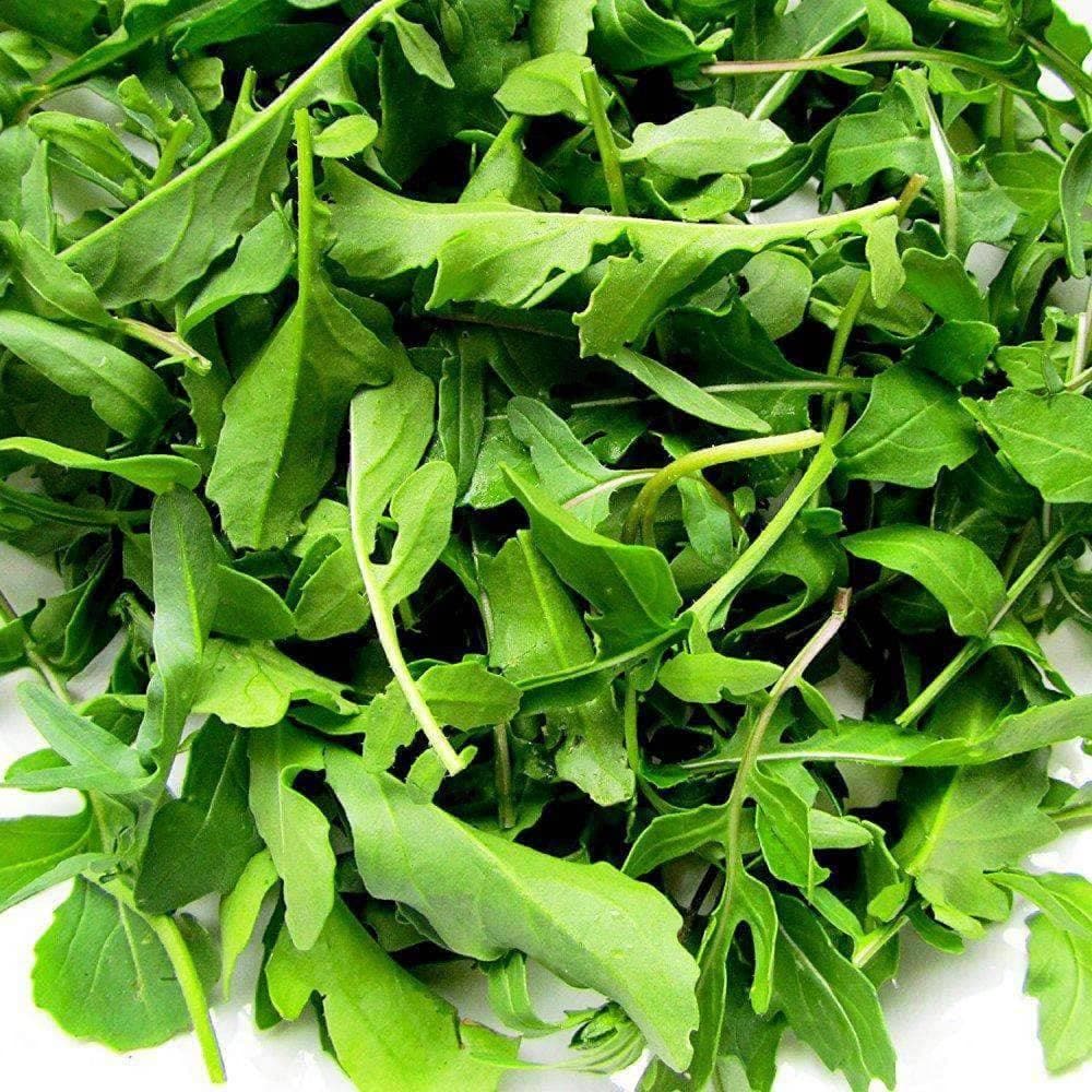 Heirloom Arugula Roquette Herb Seeds (1g) by Patriot Seeds - Image 5