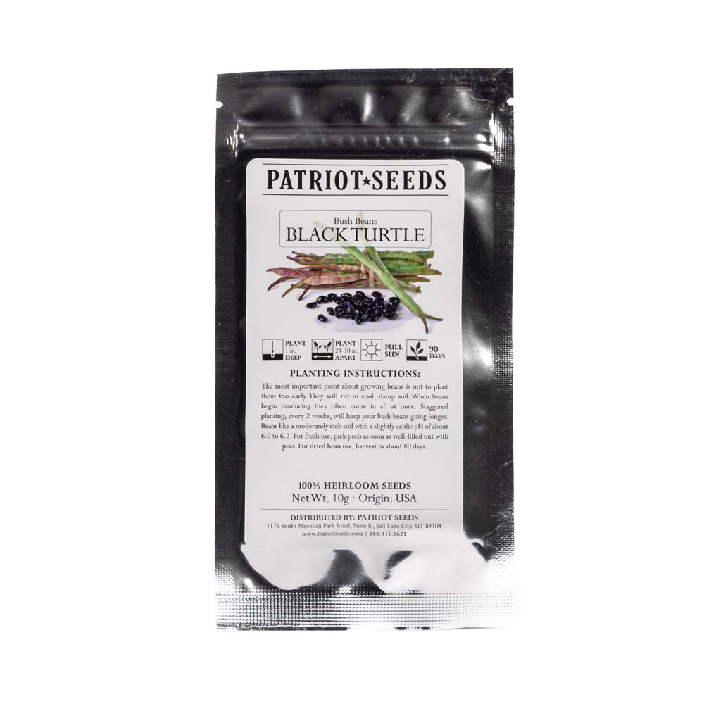 Heirloom Black Turtle Bush Beans Seeds (10g) by Patriot Seeds - Image 2