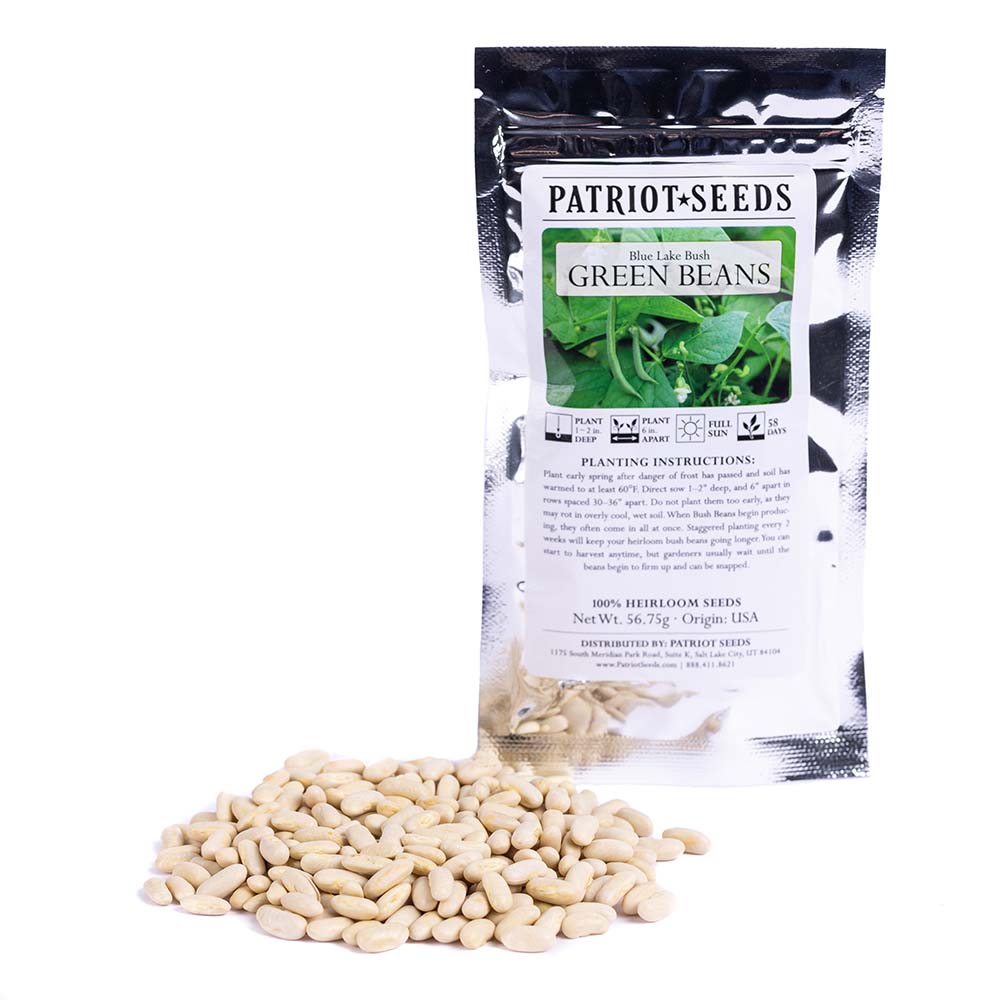 Heirloom Blue Lake Bush Beans (56.75g) by Patriot Seeds - Image 2