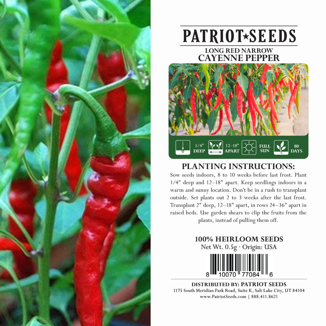 Heirloom Long Red Narrow Cayenne Pepper Seeds (.5g) by Patriot Seeds