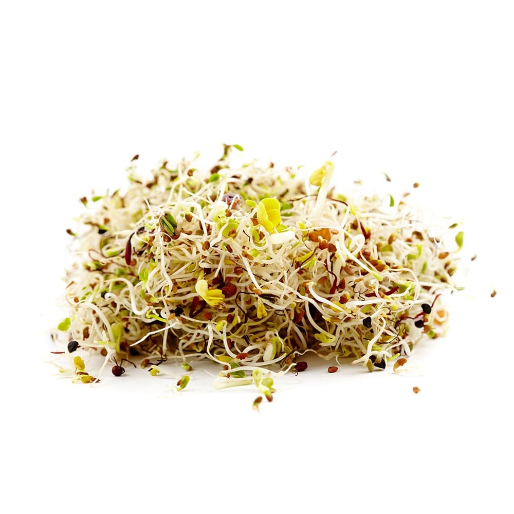 Organic 4-Part Salad Sprouting Seeds Mix by Patriot Seeds (4 ounces) - Image 4