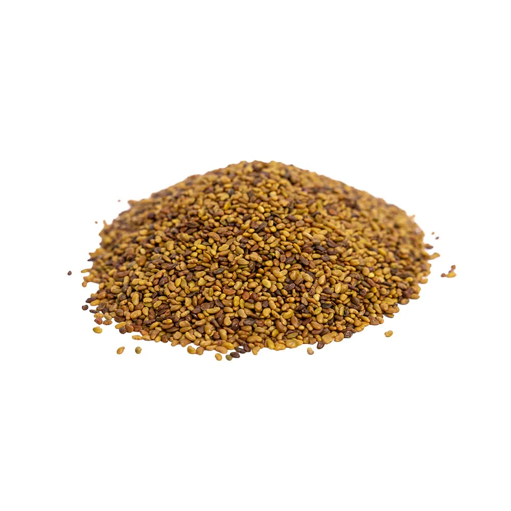 Organic Alfalfa Sprouting Seeds by Patriot Seeds (4 ounces) - Image 4