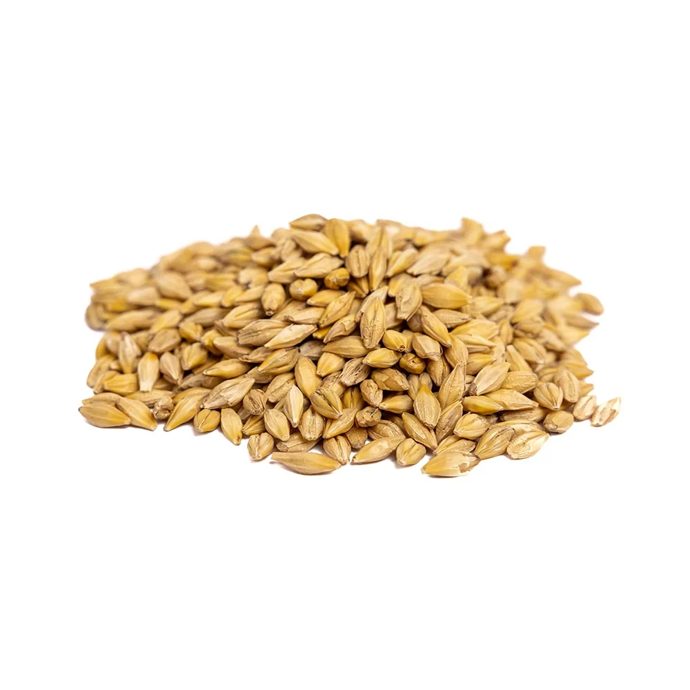Organic Barley Grass Sprouting Seeds by Patriot Seeds (8 ounces) - Image 3