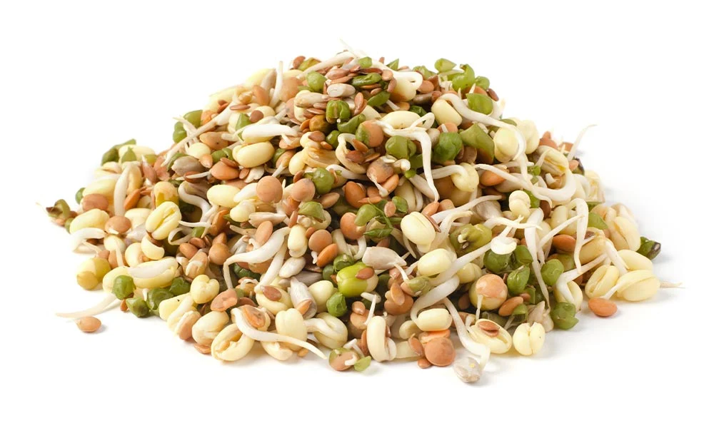 Organic Bean Salad Mix Sprouting Seeds by Patriot Seeds (4 ounces) - Image 4