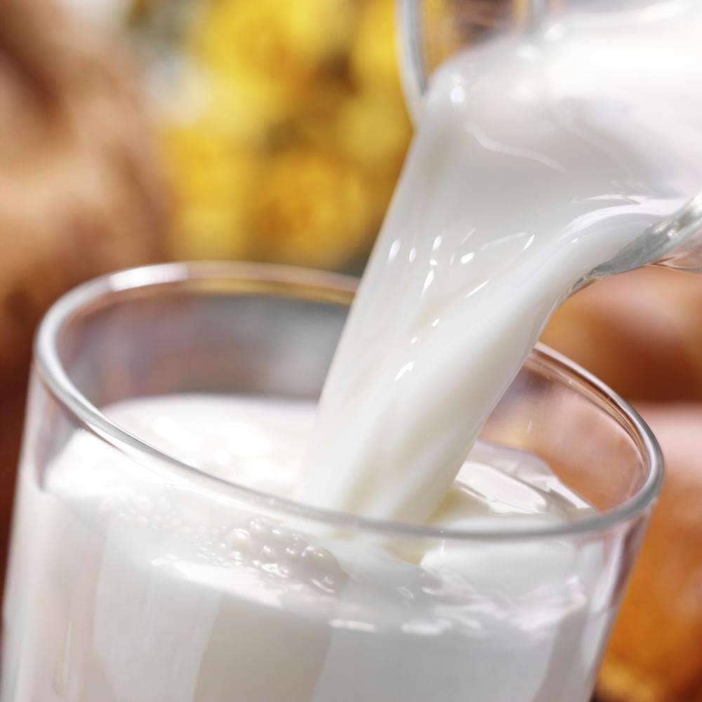 Powdered Whey Milk #10 Can (76 servings) - Image 3