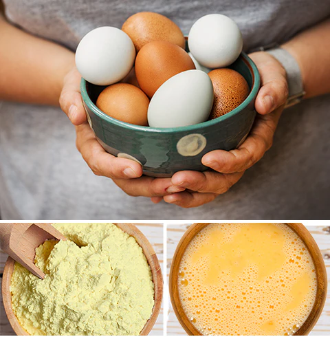 Protein Booster #10 Can Bundle - Image 11